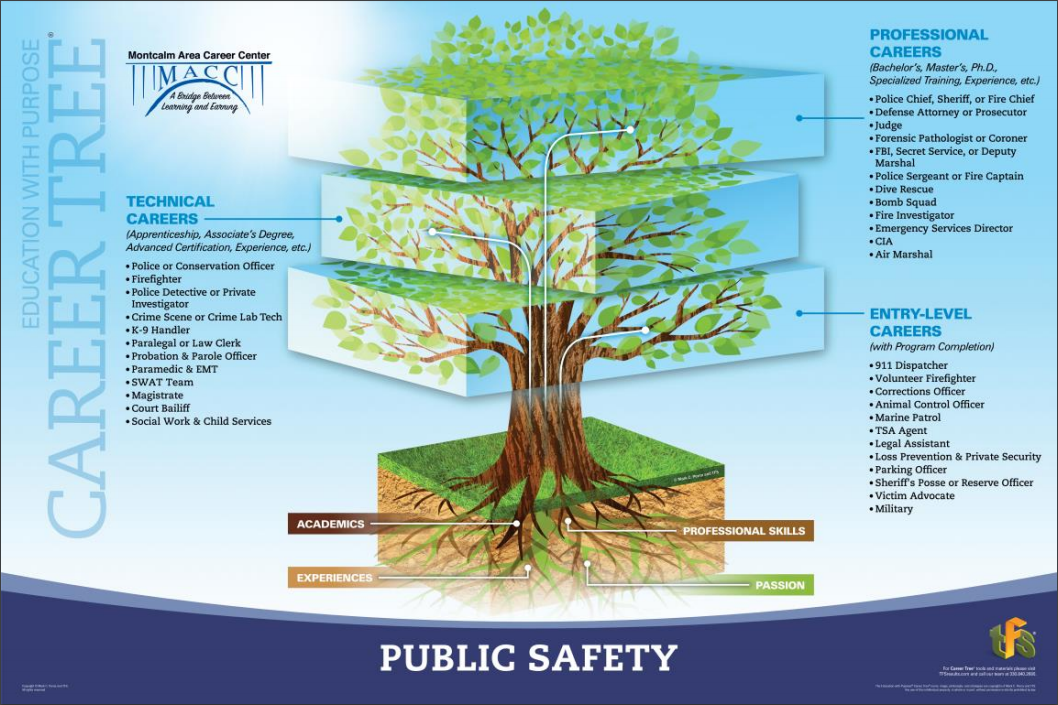 A picture of the public safety career tree showing jobs in entry level, technical, and professional areas.