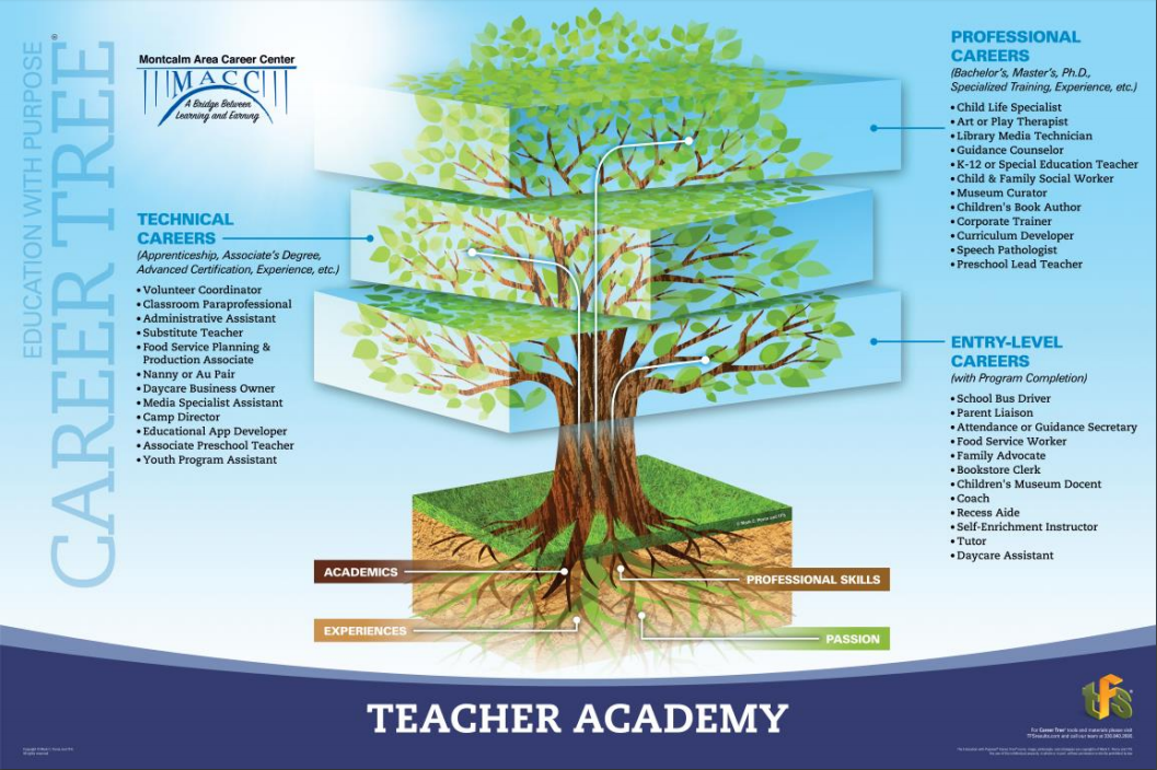 A picture of the teacher academy career tree showing jobs in entry level, technical, and professional areas.